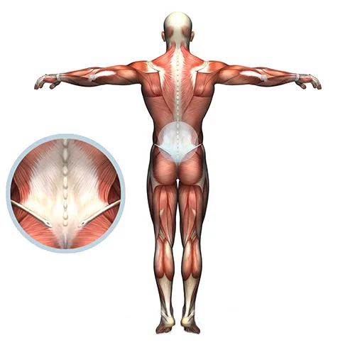 Chiropractic-Clinics-of-South-Florida-adjustment